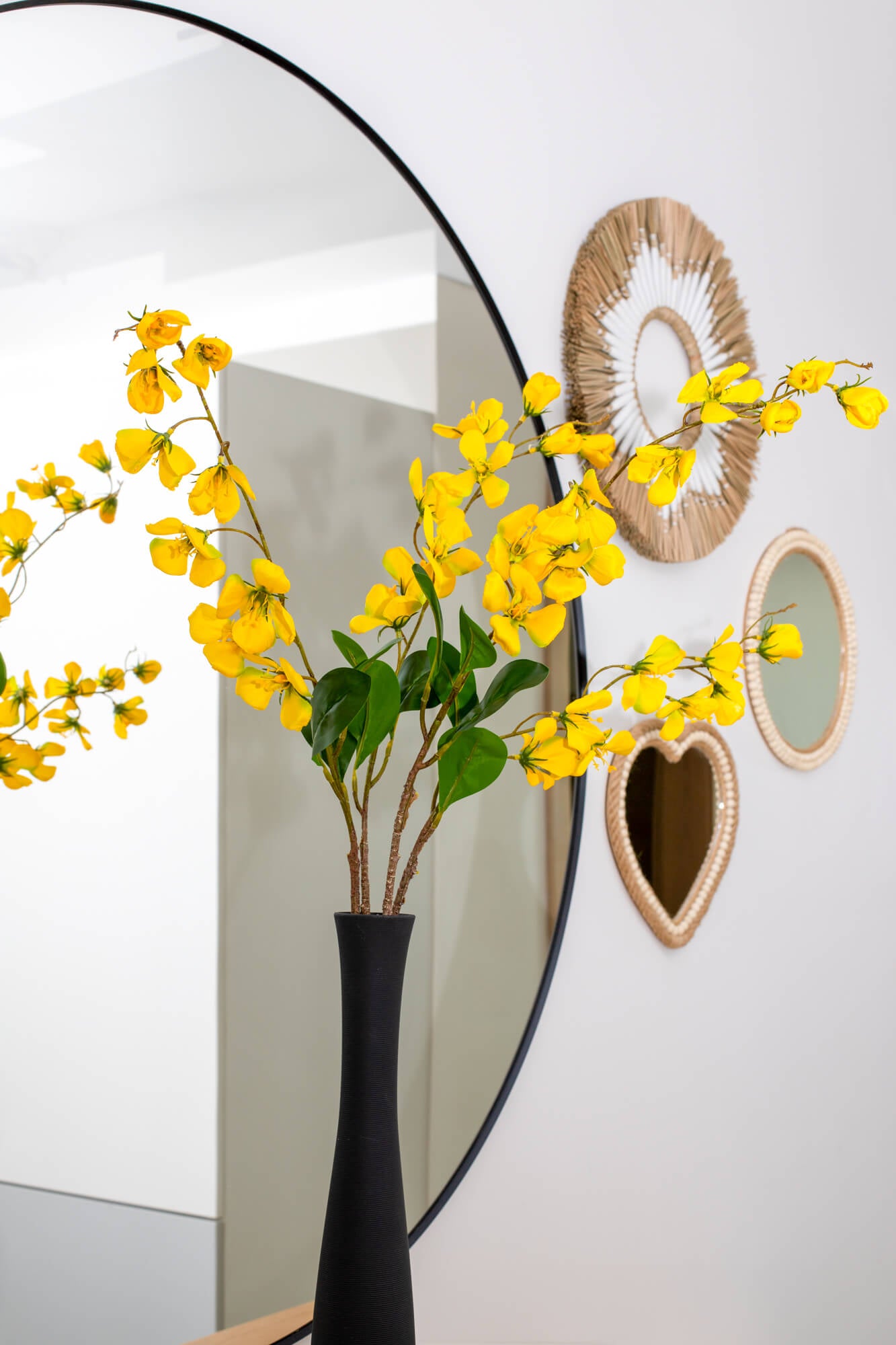 Golden acacia branch