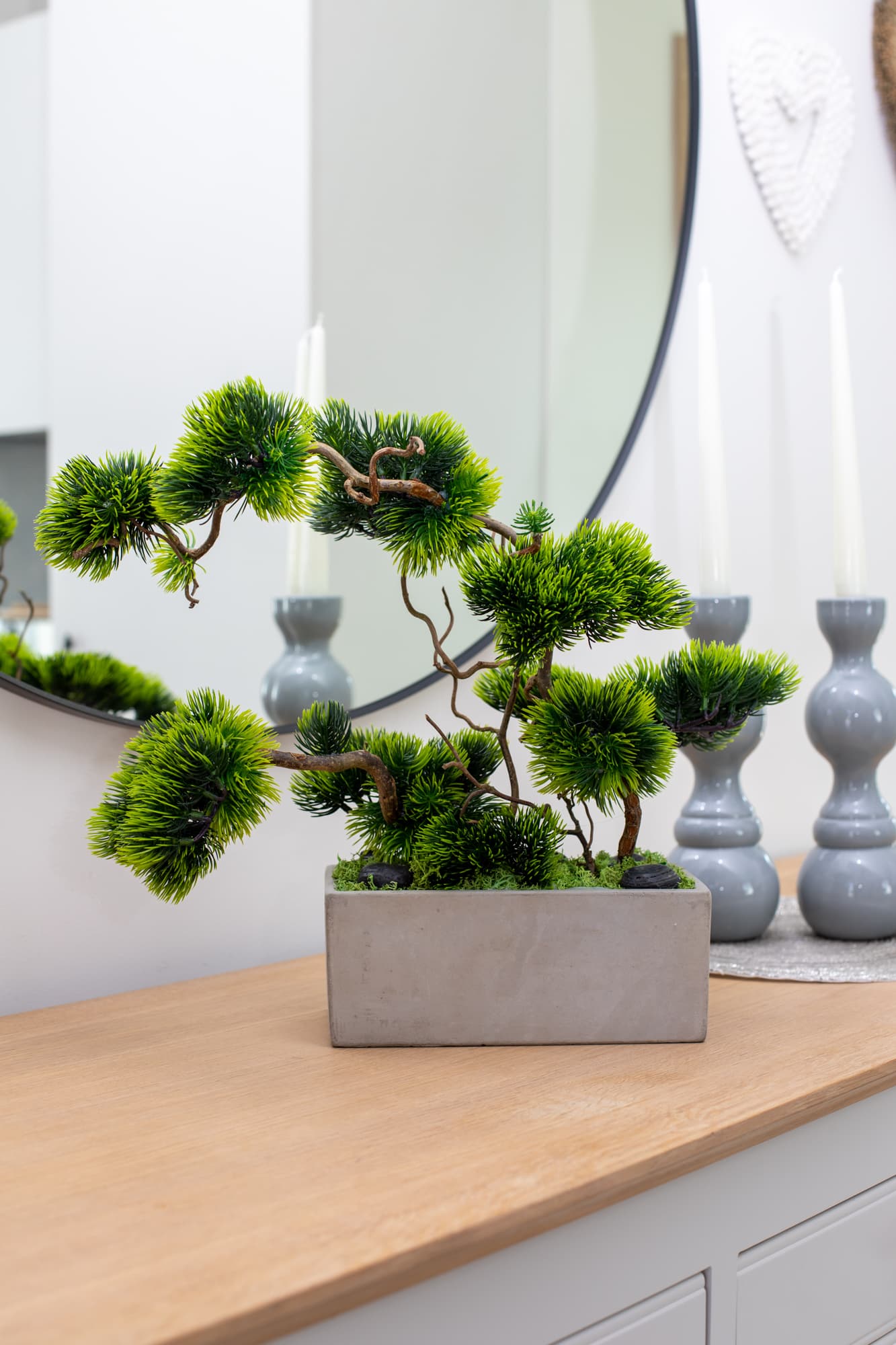 Bonsai Tree "Modern"