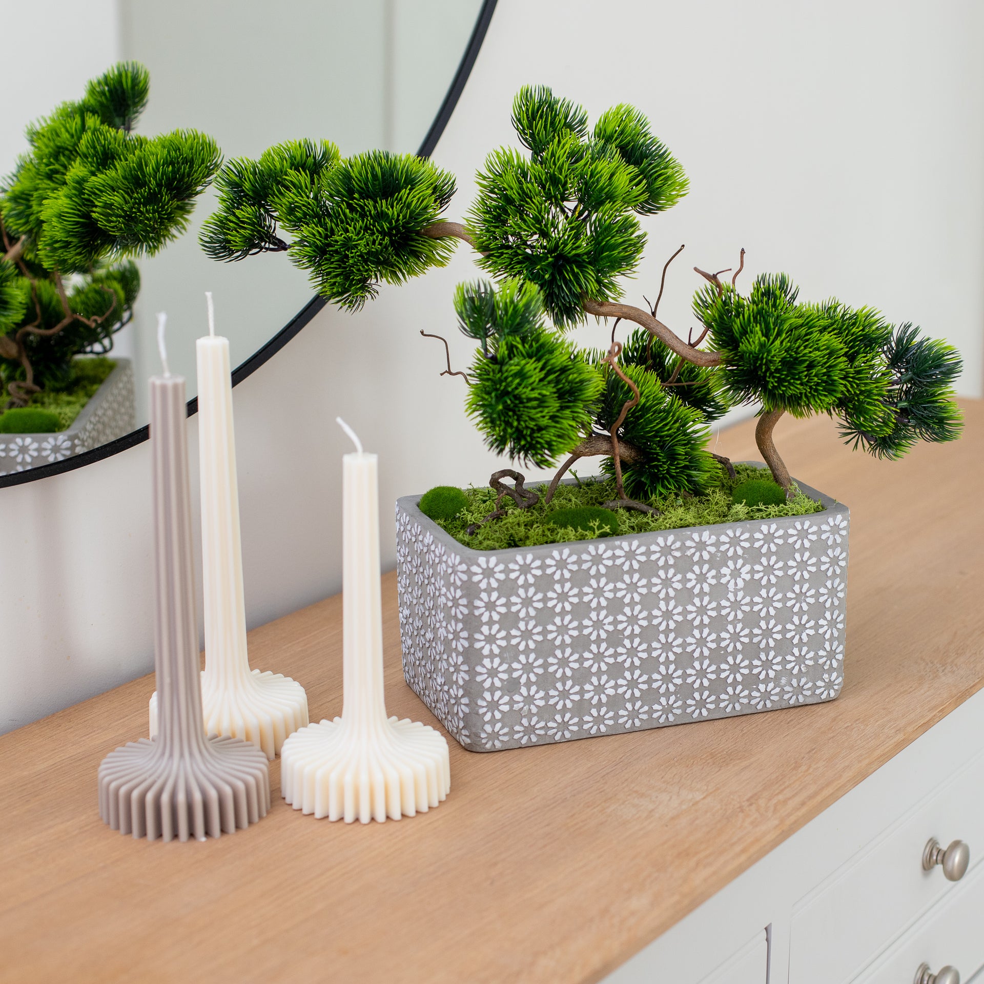 Bonsai Tree "Modern"