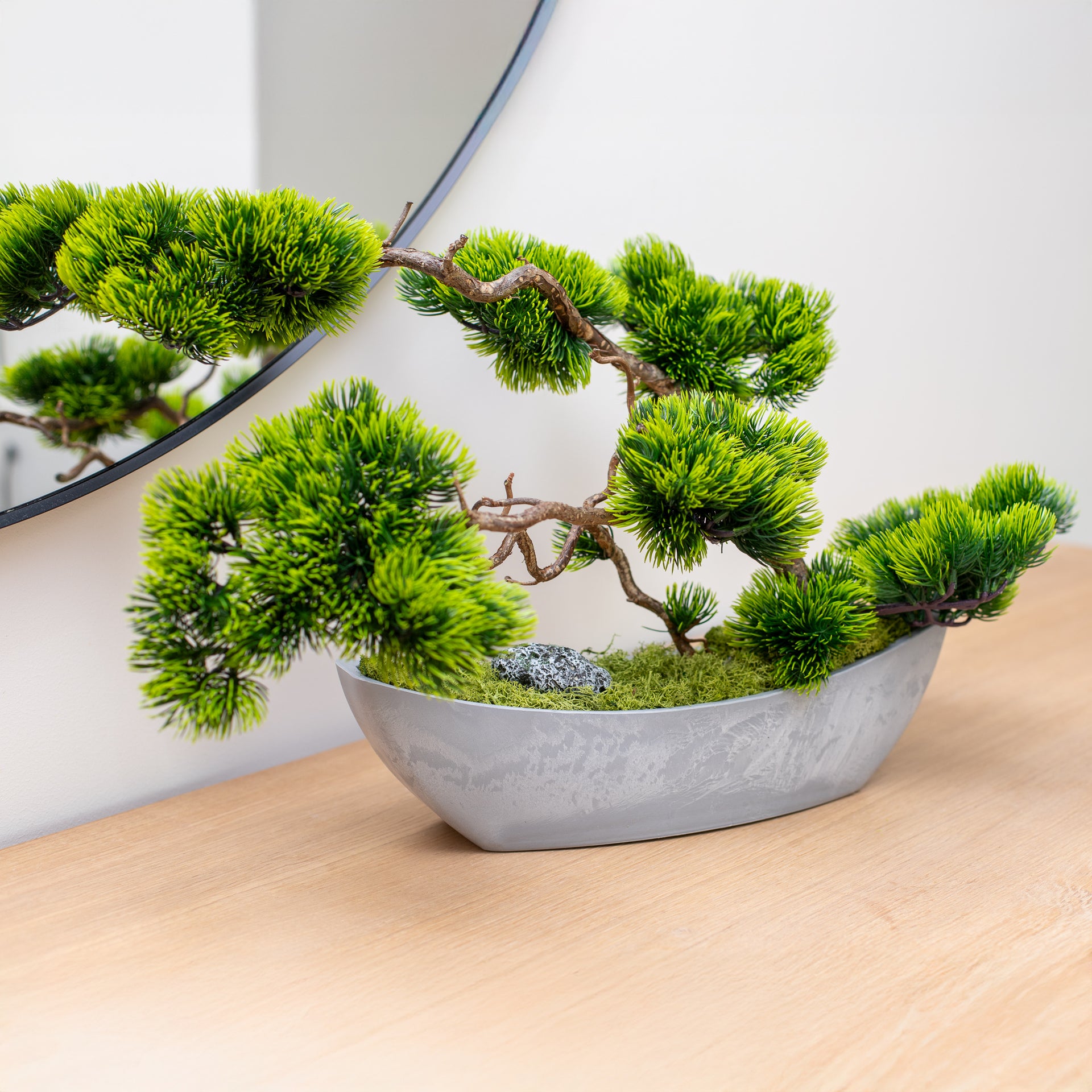 Bonsai Tree "Modern"