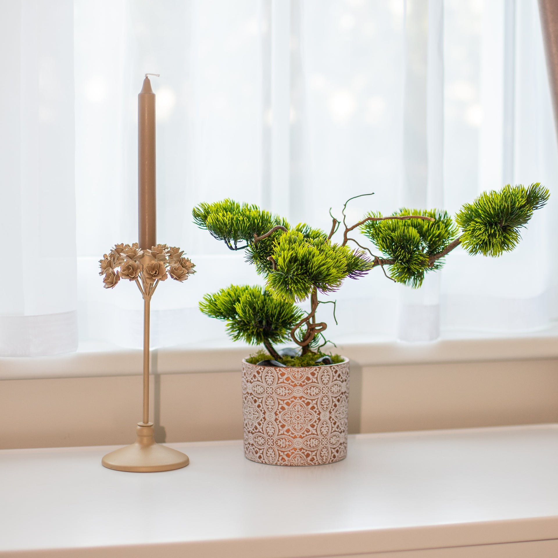 Bonsai Tree "Modern"