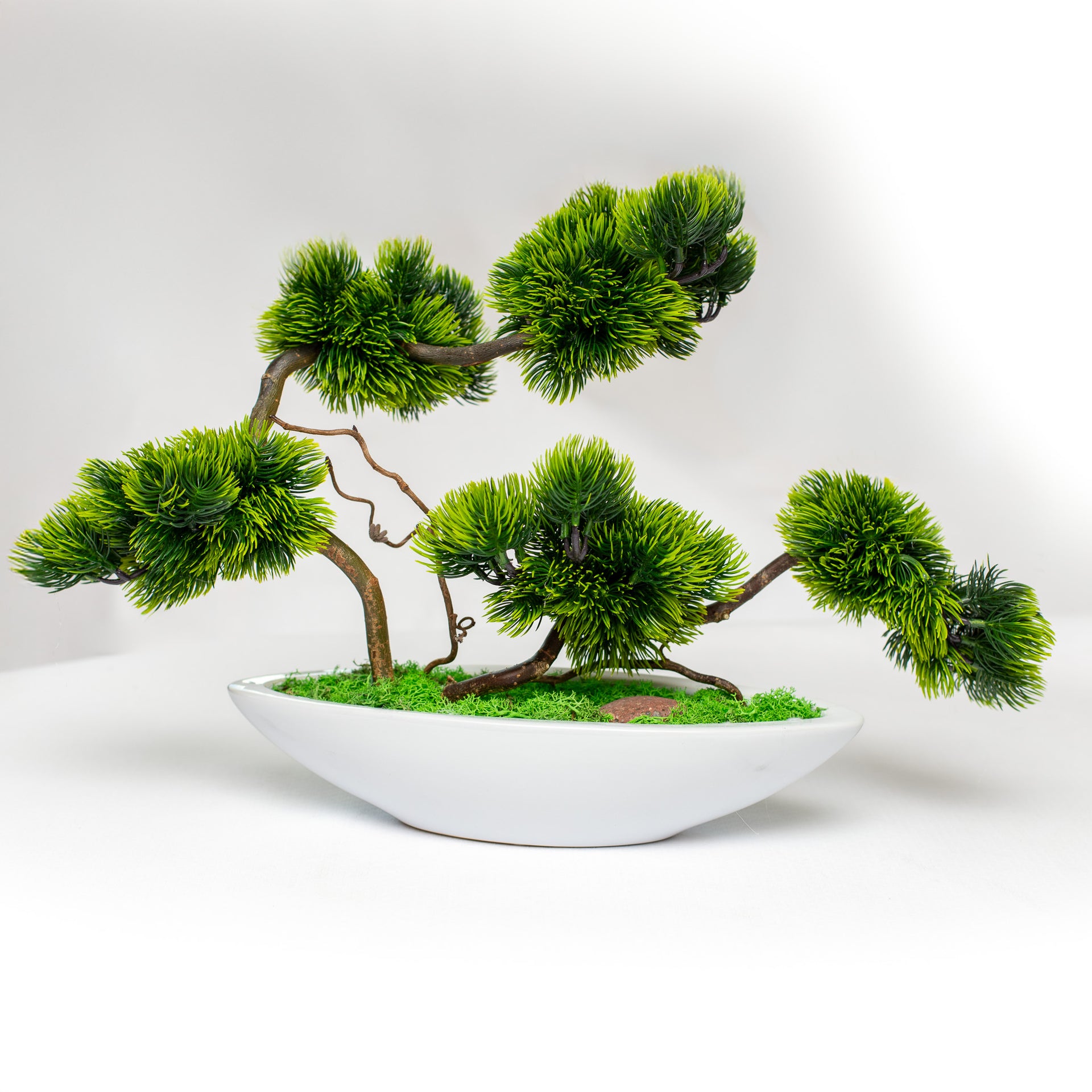 Bonsai Tree "Silence of the East"